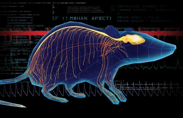 Video Category - Autonomic