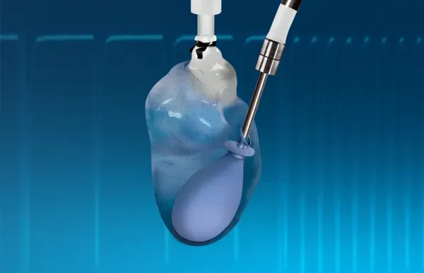 Video Category - Isolated tissue and organ