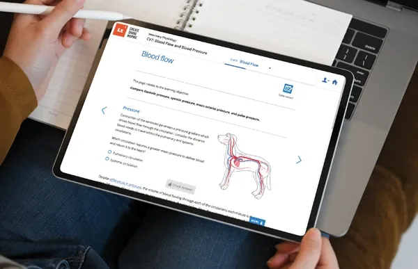 Video Category - Lt Student Support