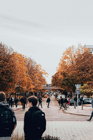 Students on a college campus